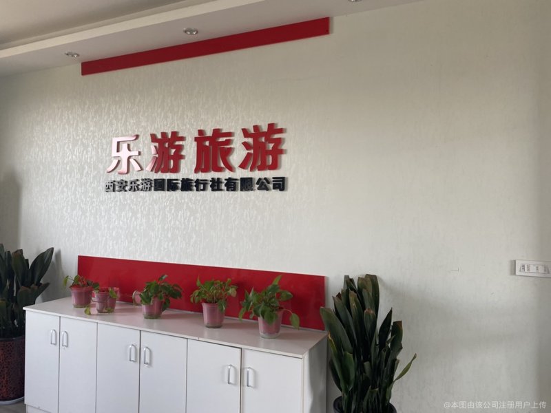 2023年出境游行业：一场说走就走的旅行